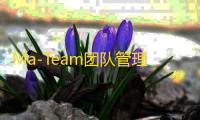 Ma-Team团队管理系统开心版v1.0.2 – 企业级团队协作解决方案源码